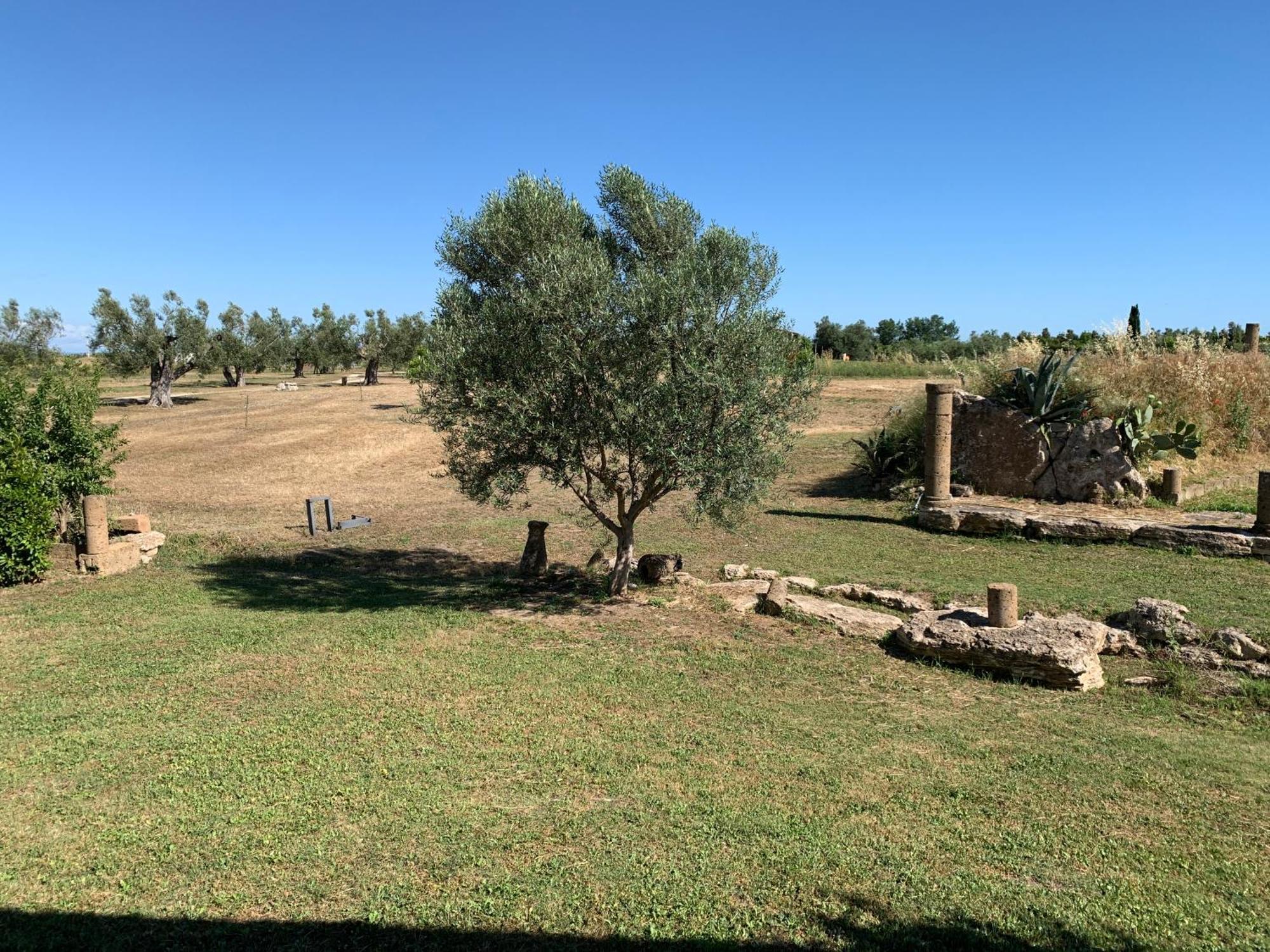 Resort Fonte Vulci Canino Luaran gambar