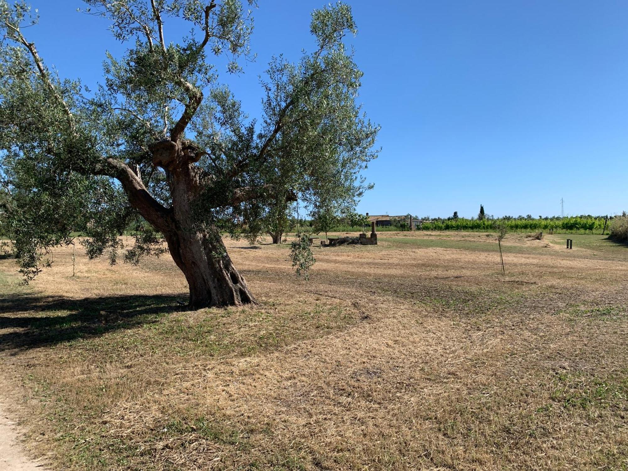 Resort Fonte Vulci Canino Luaran gambar